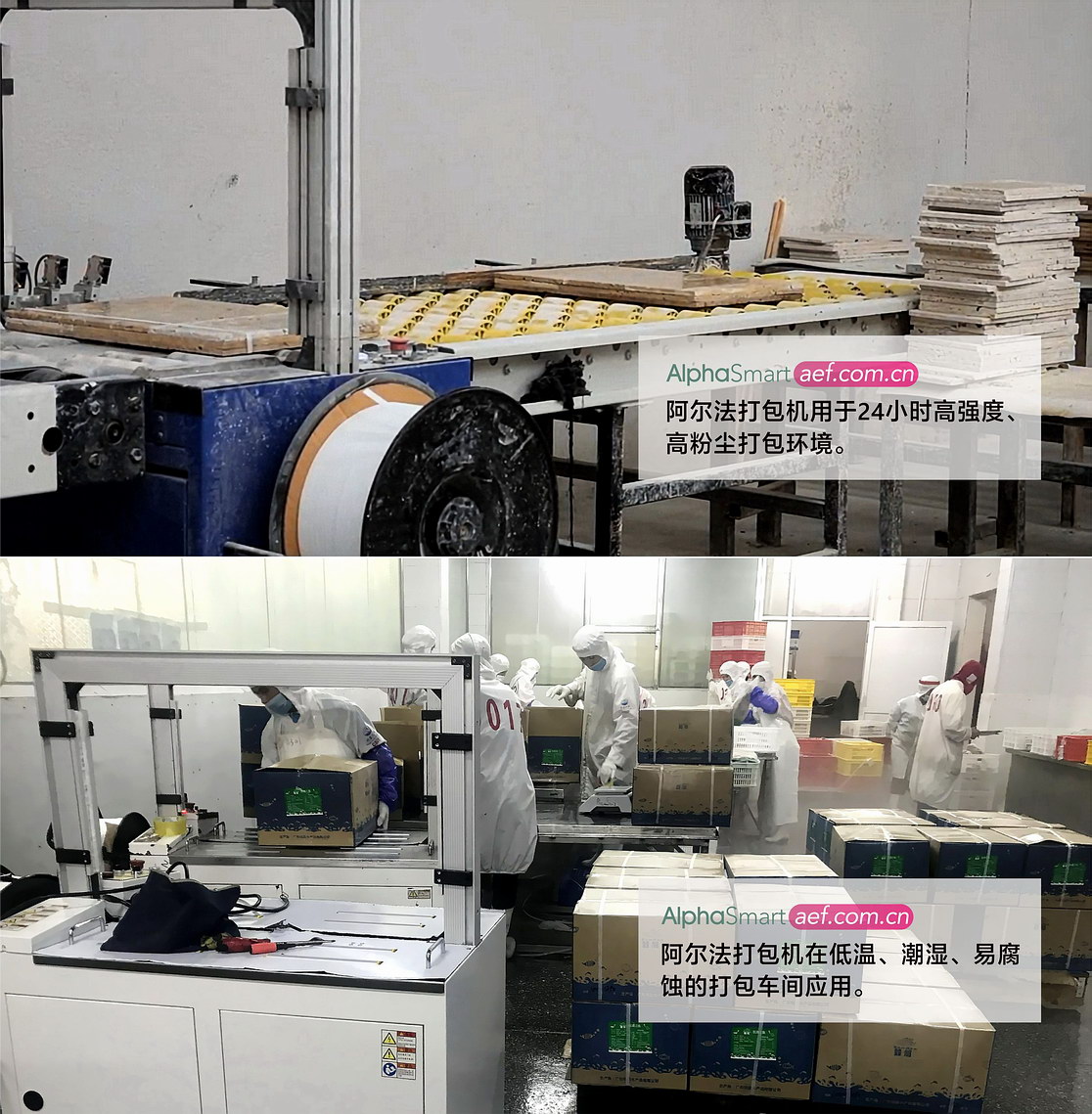 打包机在低温潮湿环境打包案例 打包机在低温潮湿环境打包案例